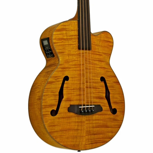 ARIA FEB F2 FL FULL SCALE FRETLESS ACOUSTIC ELECTRIC BASS