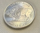 Buffalo / Indian Head Silver Round One (1) Troy Ounce .999 Fine (snowskier33)