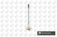 BGA Auslassventil V090101 FüR E93 E92 E91 E81 E88 BMW E87 1Er 3Er 5Er Touring