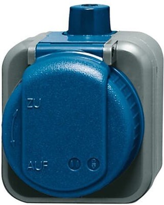 Busch-Jaeger 2300EWDI SCHUKO Steckdose 2-polig Busch-Duro 2000 WDI (IP 66)