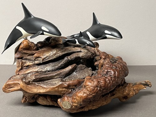 John Rey Orca JOHN PERRY Lrg