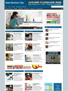 HOME-BUSINESS-TIPS-WEBSITE-WITH-BLOG-AND-AFFILIATES-NEW-DOMAIN-AND-HOSTING