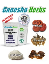 Organic 4-Mushroom Superfood Extract Blend Reishi Lion's Mane Cordyceps & Chaga
