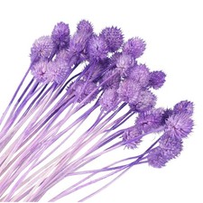 Getrocknete Blumen f&uuml;r die Vase, 30 St&uuml;ck, 16" Mini-Kiefernkugeln, Lila (Stiel)