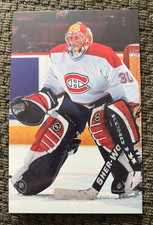 Mathieu Garon Goalie  2001-02 Montreal Canadiens Hockey Postcard