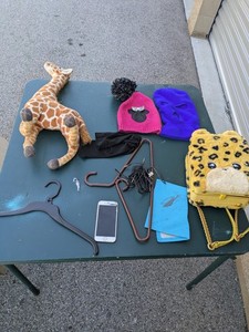 Miscellaneous storage unit lot iPhone toys winter hats giraffe Mystery Box 
