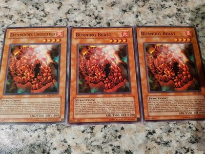 Yu-Gi-Oh! 3 × Burning Beast Box 6