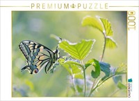 Calvendo Puzzle The Proud Swallowtail | 1000 Pieces, Finished Size 25.2 × 18.9 I
