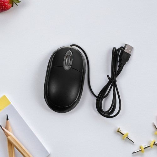 Computer Mouse Usb with 2 Metre Long Cable Professional Office High Precision - Afbeelding 10 van 12