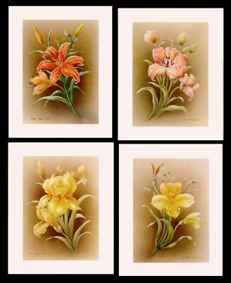 Tigerlilie Tulipa gelbe Iris Alstroemeria botanische Kunstdrucke x 4 Robert Pohl