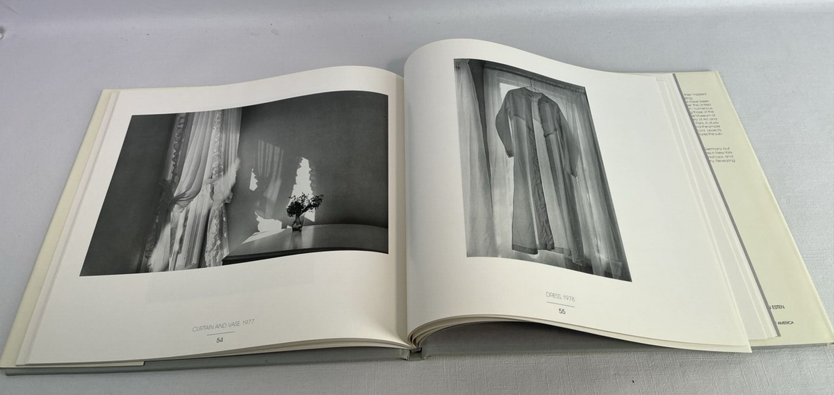 Revealing Light photographs Lilo Raymond w/ Mark Strand 1989 HB/DJ