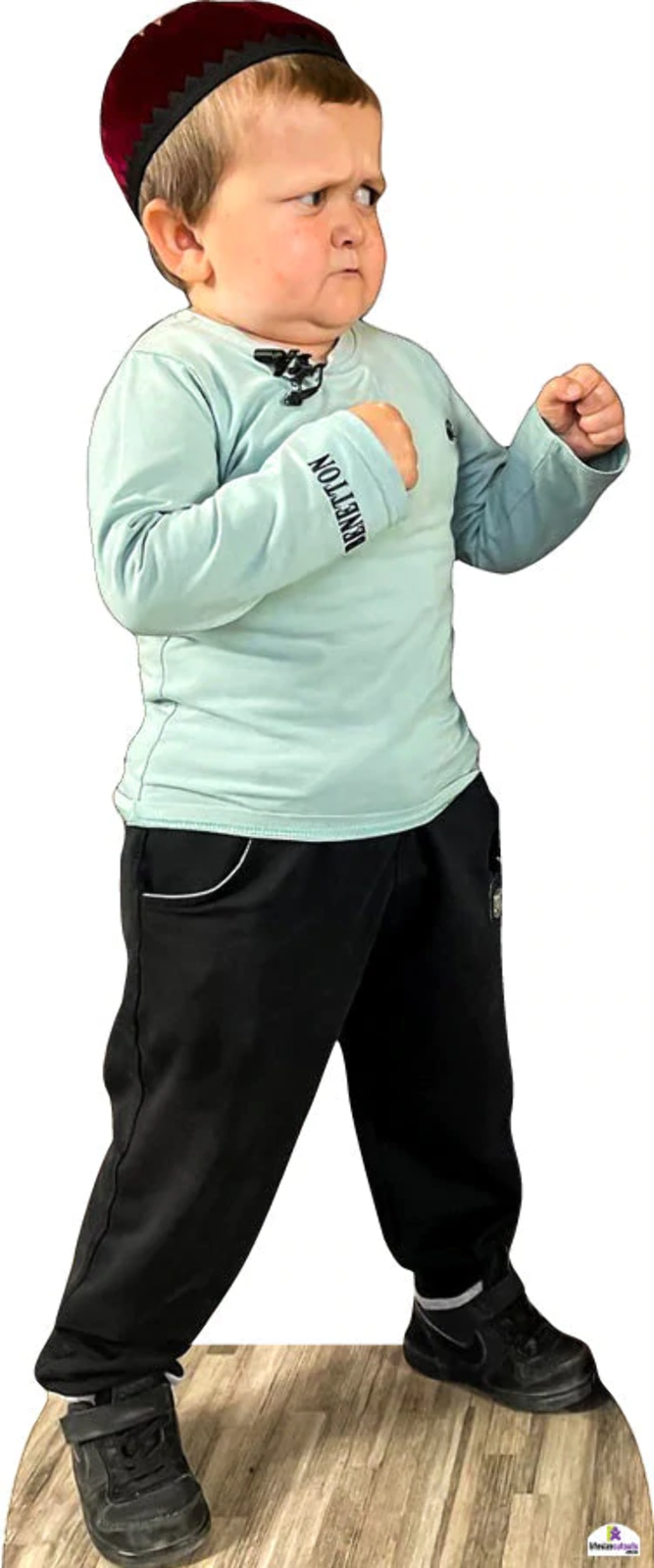 Hasbulla Magomedov Fighting 300 Celebrity Cutout eBay