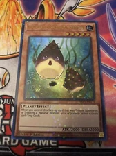 Yugioh Naturia Bamboo Shoot HAC1-EN111 Duel Terminal Ultra 1st EditionNear Mint