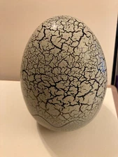 Plasma Dino Eggs - Empty / Large
