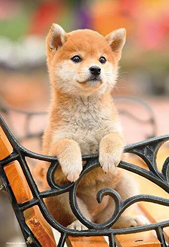 Freepik Baby Shiba Inu Puppies Inu Dog Jomon Shiba SHIBA INU