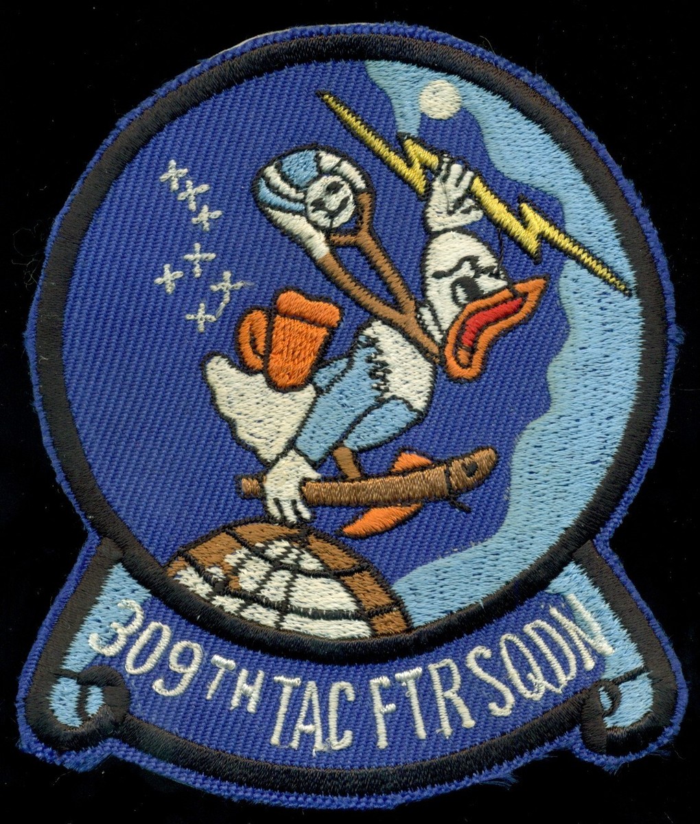 USAF 309th Tactical Fighter Squadron Patch S-24 | eBay