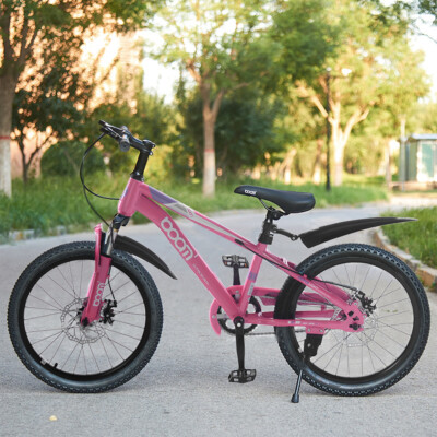 18-22 Inch Kids Bike Girls Boys Mountain Bike Disc Break Bicycle
