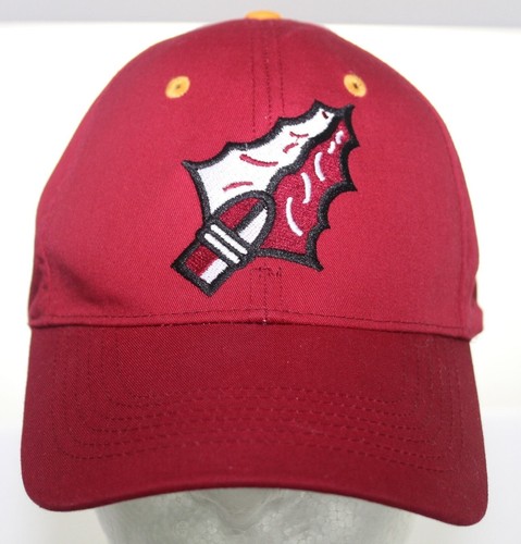 Vintage Florida State Seminoles Spear 