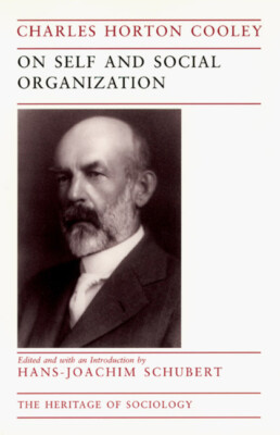 On Self And Social Organization