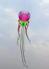 9M Large 3D Kites models Original Software kite jellyfish painted flower Demo