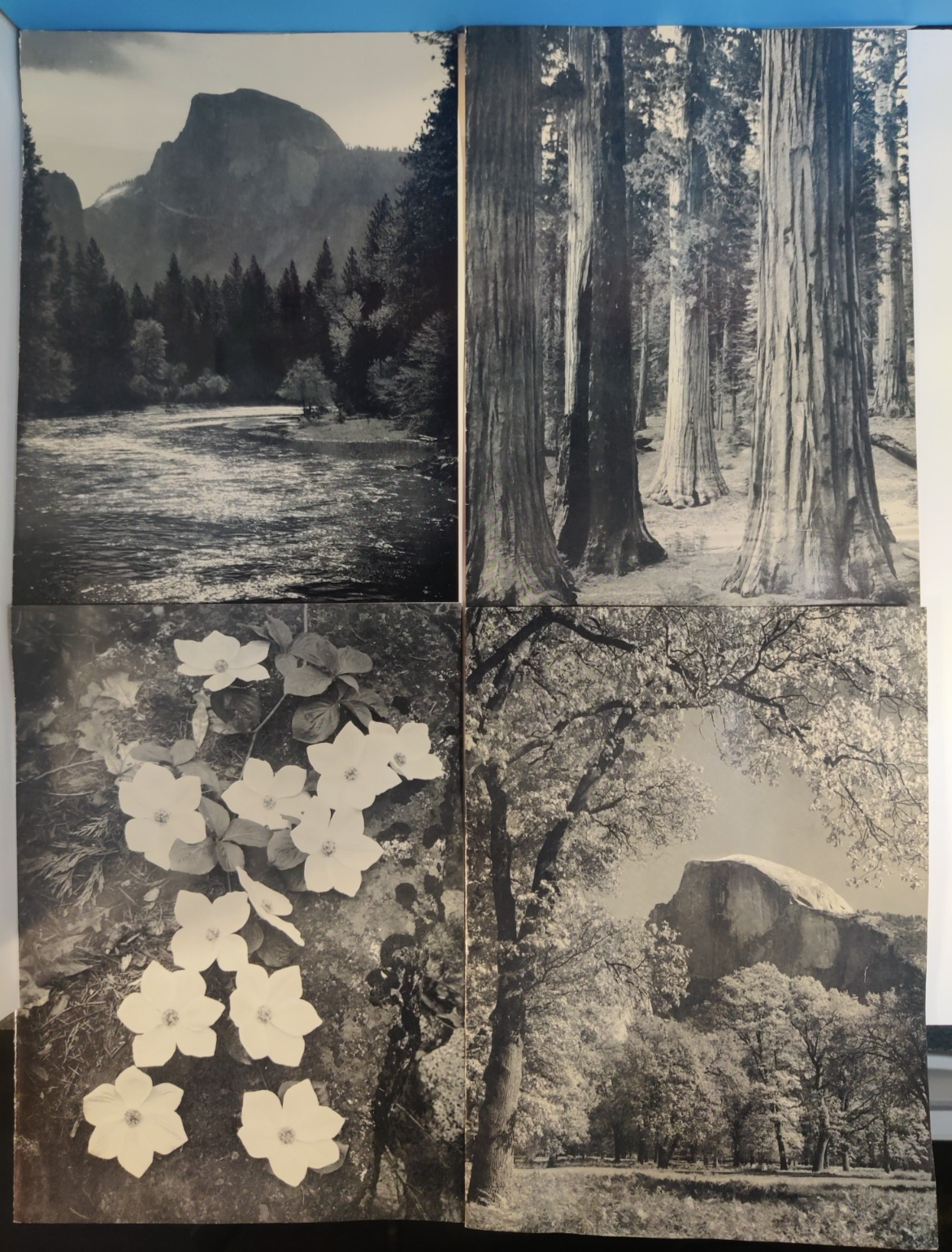 Vintage 1961-62 Ahwahnee Hotel Yosemite Dinner Menus Ansel Adams Half ...