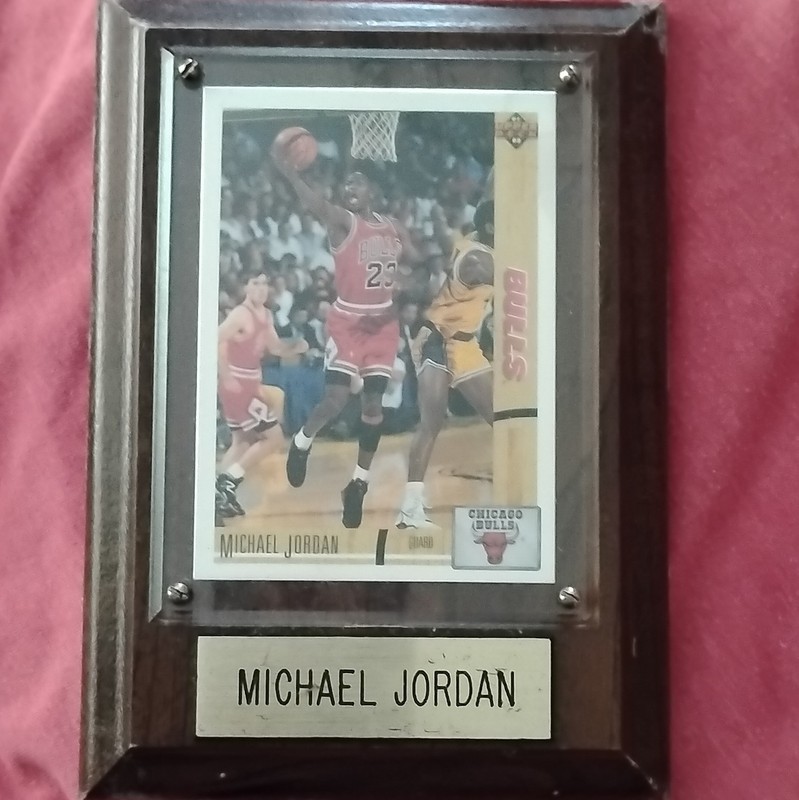 Michael Jordan Chicago Bulls Basketball Framed Plaque Display