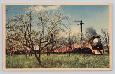 Southern Pacific Daylight Train Locomotive in Apple Orchards Aromas CA Postcard