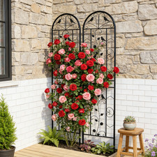 2pcs Metal Garden Trellis with Black Coating Cucumbers Vegetables Flower Support