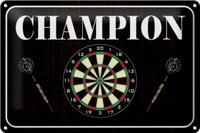 Blechschild Spruch 30X20 Cm Darts Champion Metall Deko Schild Tin Sign