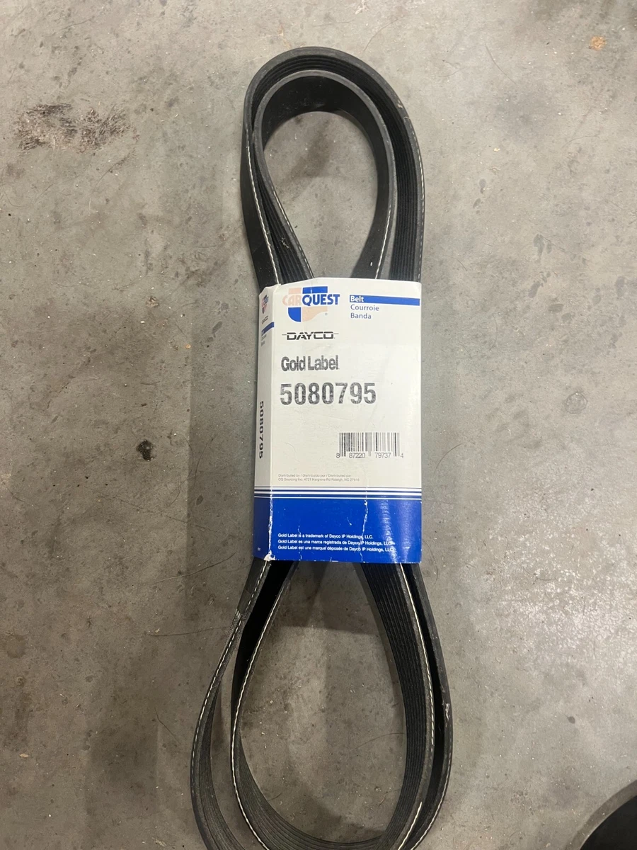 CarQuest Serpentine Belt Dayco GOLD LABEL 5080795 FOR 4.6L OR 5.4L 