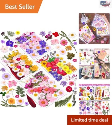 140 Pcs Bulk Natural Pressed Flowers   Ideal for DIY Gifts & Creative Projects