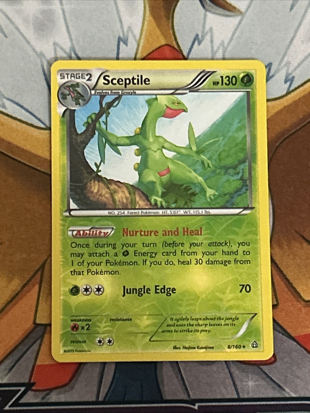 Sceptile 8/160 XY - Primal Clash Reverse Holo