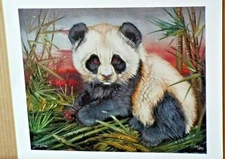 MARTIN KATON, PANDA ,CANVAS GICLEE