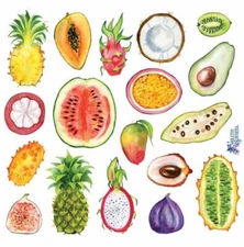 Violette Stickers Tropical Exotic Fruit Food Crafts Planner Supply Scrapbook