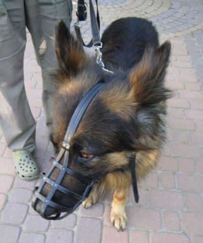German Shepherd Leather Muzzle - Bild 1 von 7