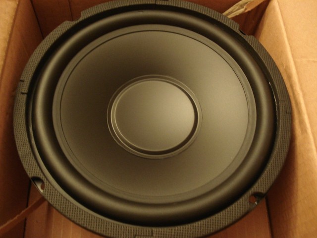 10 inch 4 ohm woofer