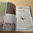 Bild 6 von 13