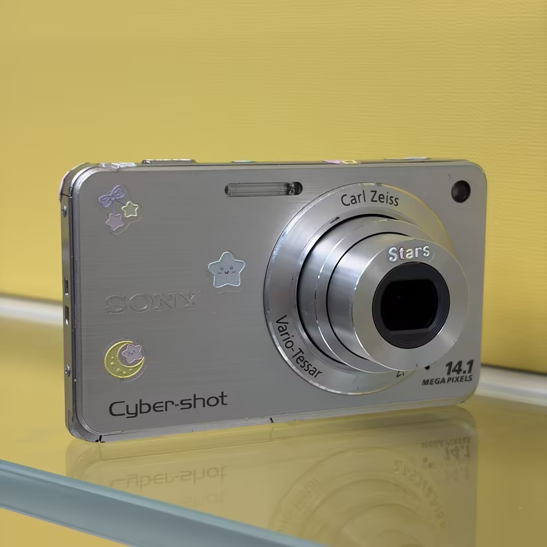 SONY Cyber-Shot DSC-W560 Silver 14.1MP Compact Digital Camera 4x