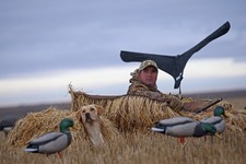 Goose Decoy GHG Power Flag  CANADA GOOSE