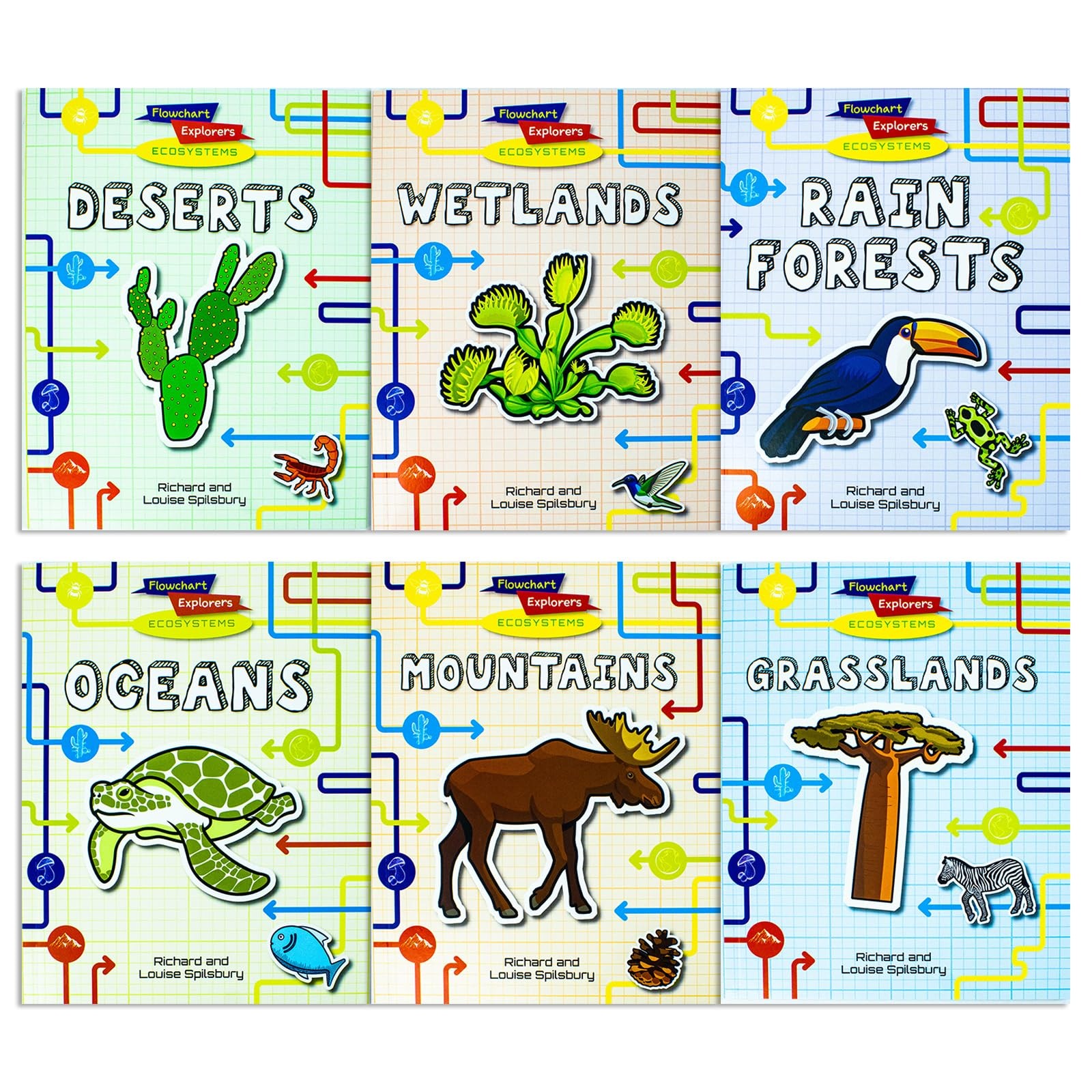 Flowchart Explorers Ecosystems STEM 6 Geography S | Richard and Louise Spilsbury - Image 10