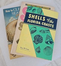 3 Vintage Shell Books Identifying Shells To How To Clean Them For Collectors