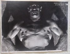 E. Luxardo - Primo Carnera (1937) - Mostra Anni Trenta (Milano 1982)
