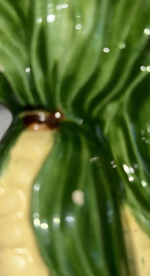 Винтажная кукурузная керамическая 3D овощная настенная табличка / ретро декор / 7,5 дюйма - Изображение 2 из 4