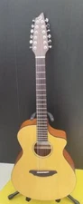 Breedlove Ac250/Sm-12 Eco