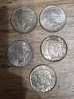 (5) Peace Dollars 1922 P.  All Readable Dates Great Price!!! You Grade Lot #4