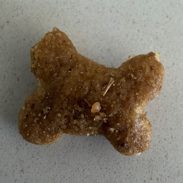 Bone-Shaped Dog Treat Biscuits/Cookies, Biscuit Bone Shaped Treat Chew