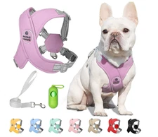 Dog Harness with Leash Set Adjustable Soft Padded Step-in Dog Vest No Choke
