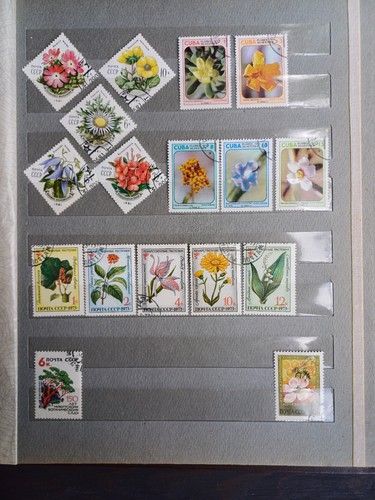 STAMPS ALBUM FLORA & FAUNA collection different countries USSR 401pcs 1960-1970s - Picture 20 of 22