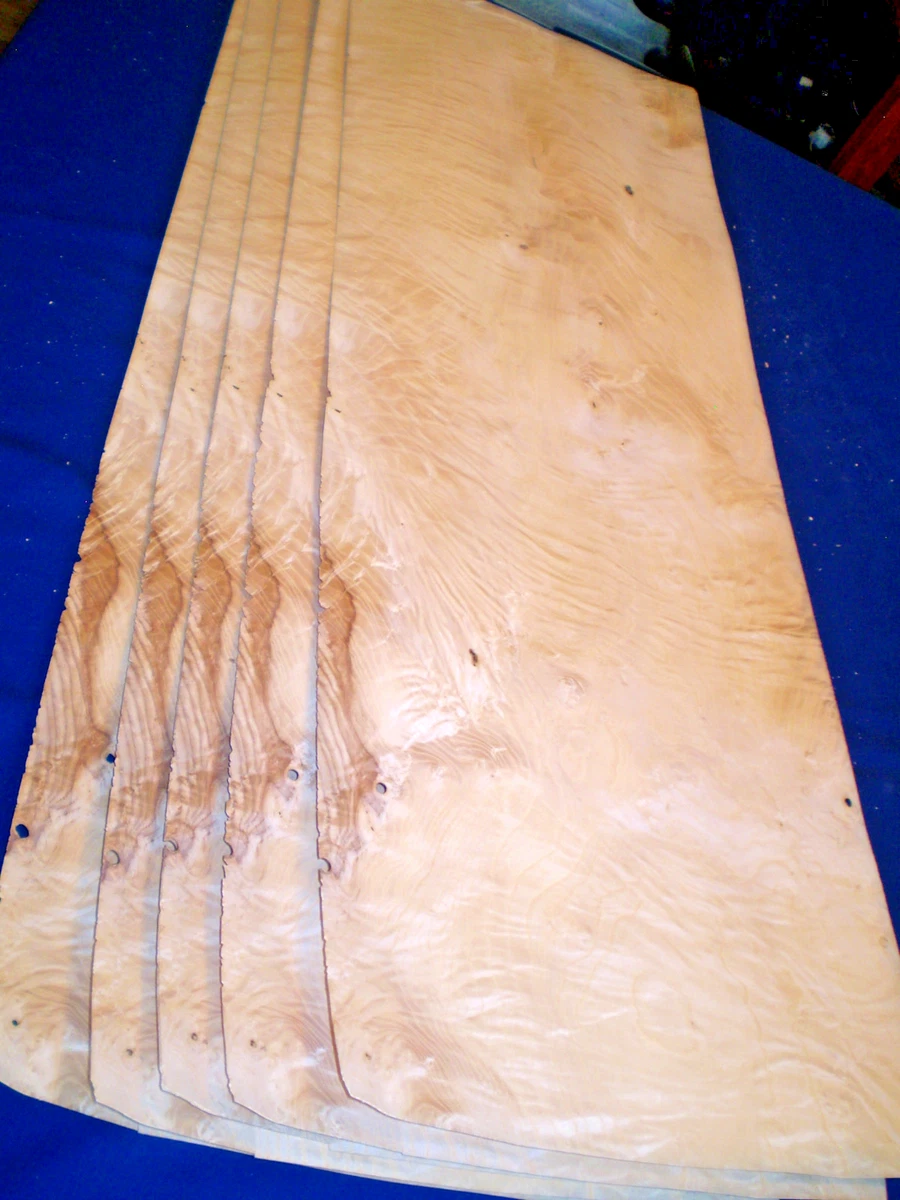 Chapa racimo fresno 1050 x 350 mm 6 hojas nº 863