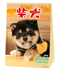 Shiba Inu Desk Calendar 2026 by Animal Photographer Yoneo Morita 124x178mm Dog